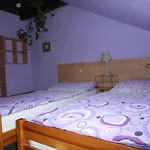 Gasthuis U Lesa Ceske Budejovice