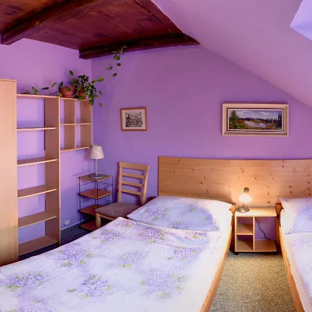 Guest house U Lesa 3*