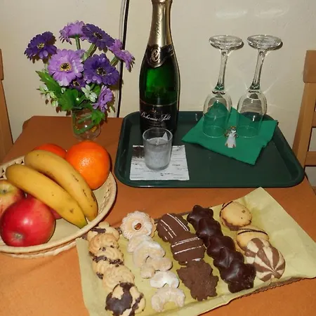 Guest house U Lesa Ceske Budejovice