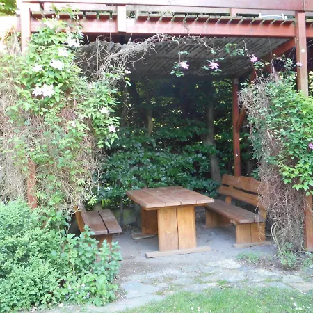 Guest house U Lesa 3*