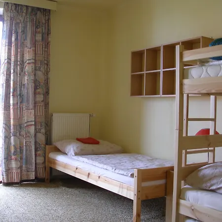 Guest house U Lesa 3*