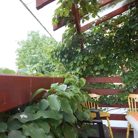 U Lesa Ceske Budejovice