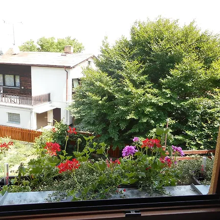 U Lesa Guest house 3*