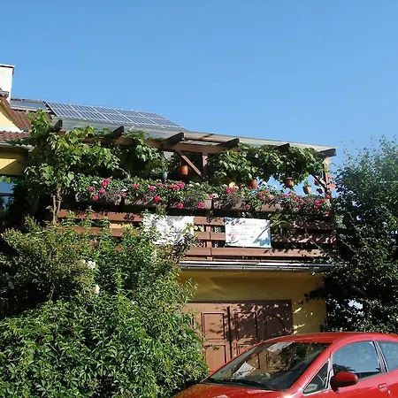 Guest house U Lesa 3*