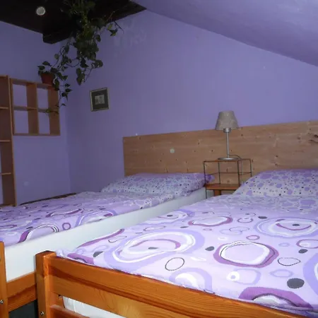 Guest house U Lesa Ceske Budejovice
