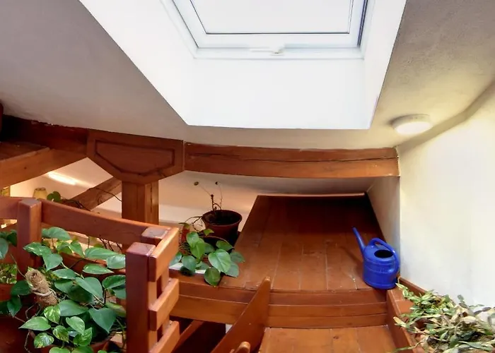 U Lesa 게스트하우스