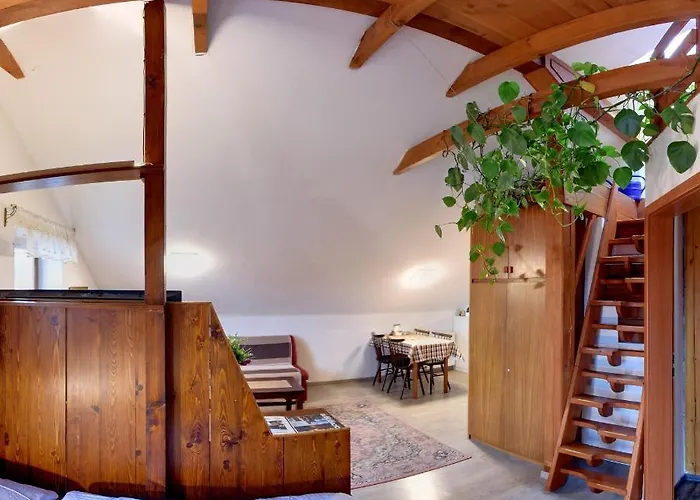 U Lesa צ'סקה בודיוביצה