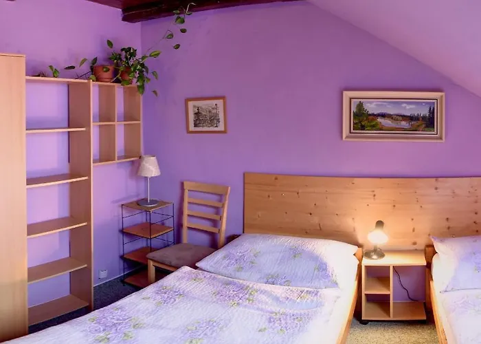 בית הארחה U Lesa 3*