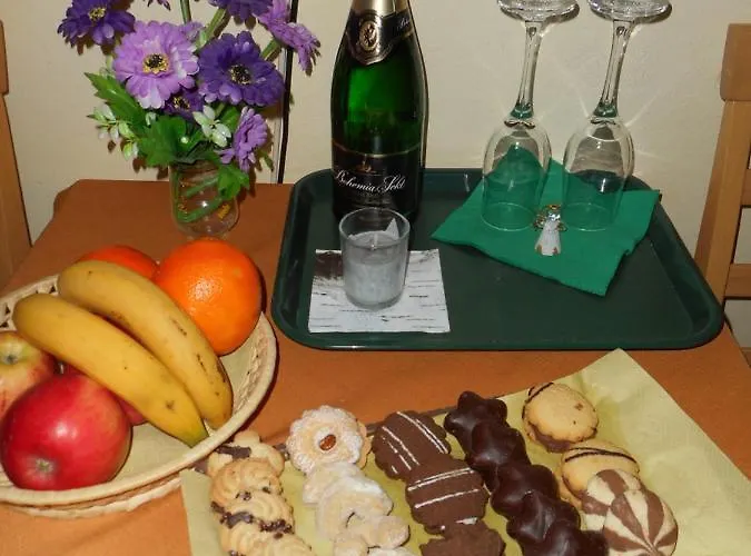 게스트하우스 U Lesa 체스케부데요비체