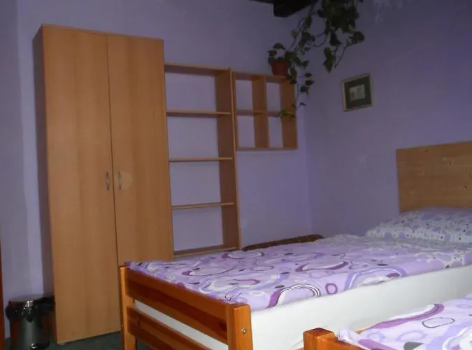 U Lesa בית הארחה צ'סקה בודיוביצה