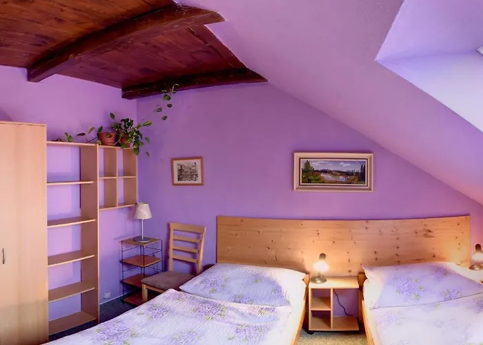 בית הארחה U Lesa צ'סקה בודיוביצה