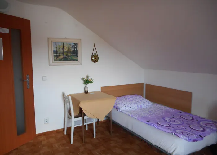 U Lesa צ'סקה בודיוביצה