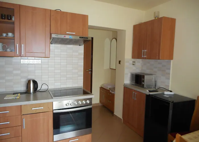 U Lesa 3* צ'סקה בודיוביצה