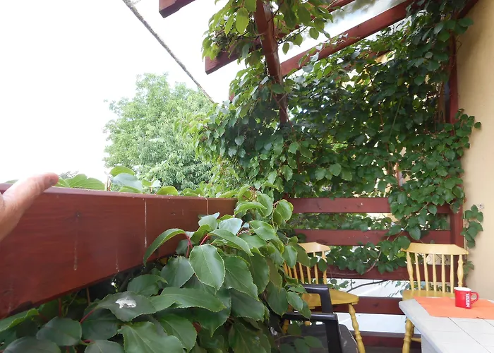 U Lesa צ'סקה בודיוביצה