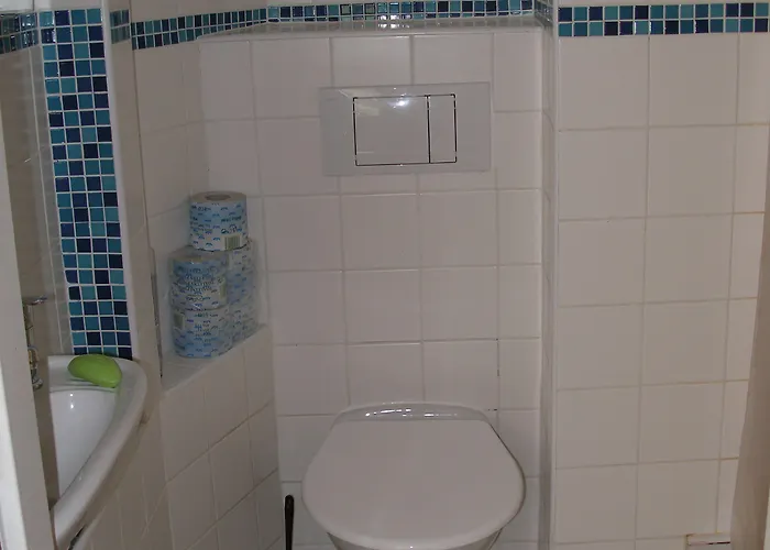 U Lesa צ'סקה בודיוביצה