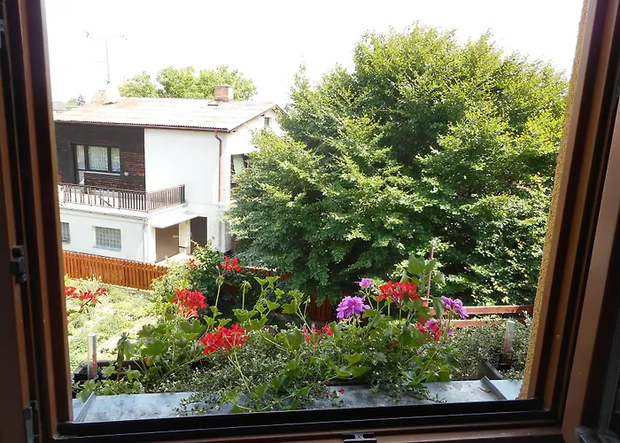 U Lesa בית הארחה 3*