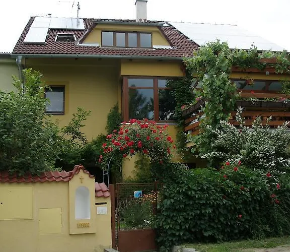 U Lesa 체스케부데요비체