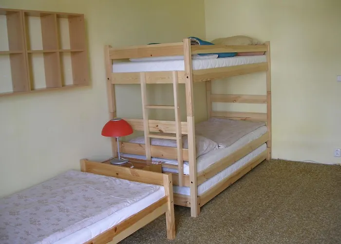 U Lesa 체스케부데요비체