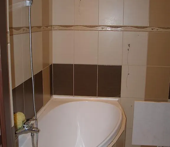 בית הארחה U Lesa 3*