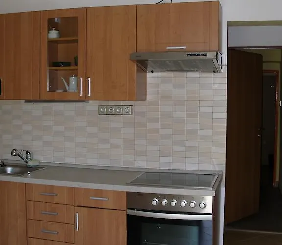 게스트하우스 U Lesa 체스케부데요비체